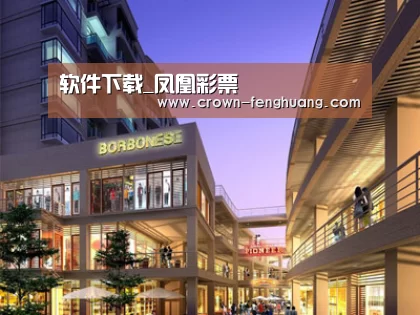 案例展示一(图1)