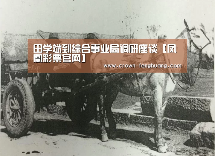 田学斌到综合事业局调研座谈【凤凰彩票官网】(图3) 凤凰彩票平台